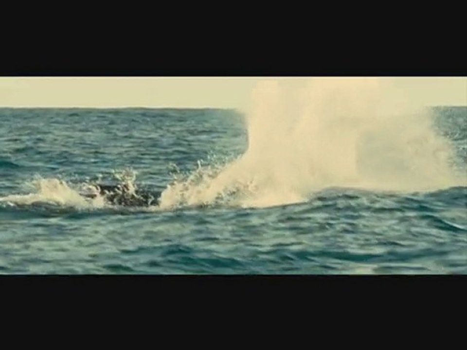 Baleine et son petit.....