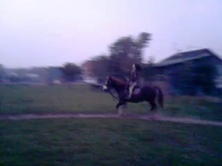 Salim départ au galop