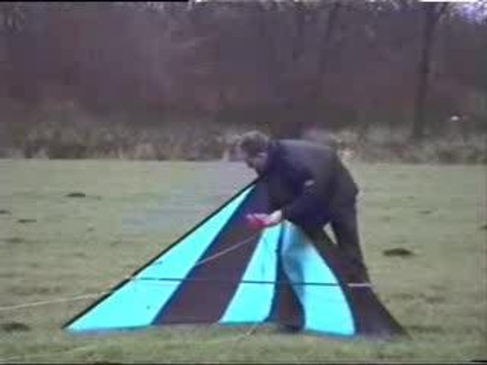 regis fait du cerf-volant