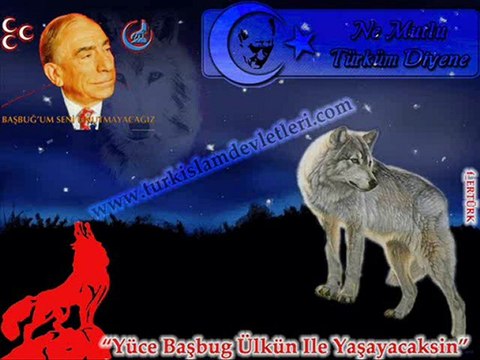 TÜRK İSLAM DEVLETLERİ