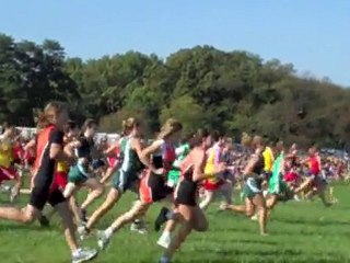 2010 Cross Country Season