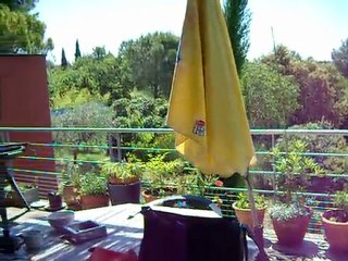 Une belle terrasse à Nîmes