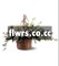 Flowers funeral home, arrange funeral flowers canada funeral