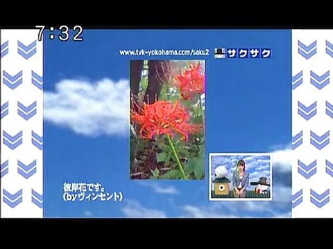 sakusaku 101015 1 ヒガンバナ～！タニュ～！、の巻