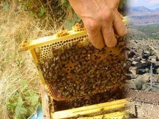 Wilaya de BORDJ BOU ARRERIDJ : 34 Communes