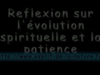 patience et evolution spirituelle