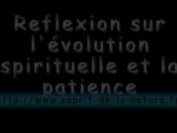 patience et evolution spirituelle