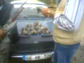 Davulbaz Köyü bıldırcın avı