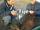 Levrek Avı Sea Bass Fishing