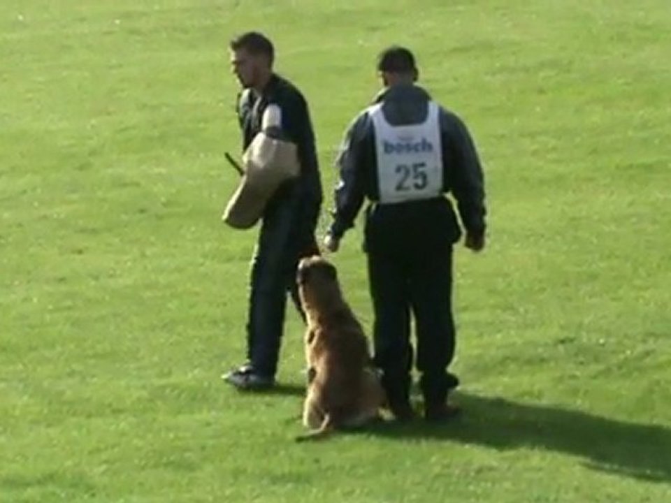 FCI-Quali-2011-KAINRATH/Yeti