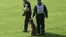 FCI-Quali-2011-KAINRATH/Yeti
