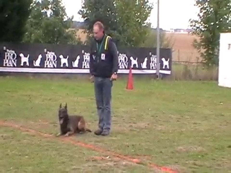 barbak chien en blanc evreux 2010