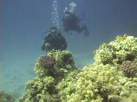 Mer rouge - Egypte - Abu Ramada