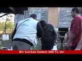 İHH İnsani Yardım Vakfı Haritanın Her Yerine Gürcistan'dayız