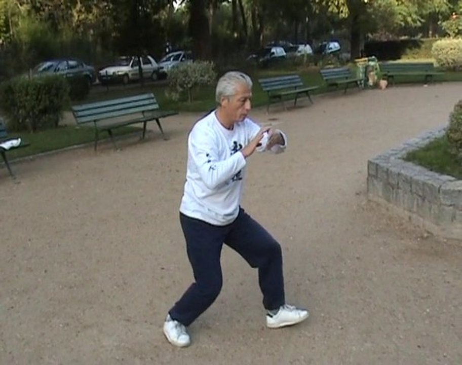 Tai Ji Quan - Taolu 48 mouvements - Partie 1