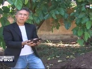 دير بحالي : الجمعة 15 أكتوبر