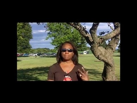 The Book Disciplines of Doership by Joe Schroeder