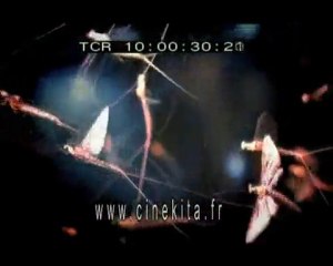 Invasion animale-CINEKITA WEB