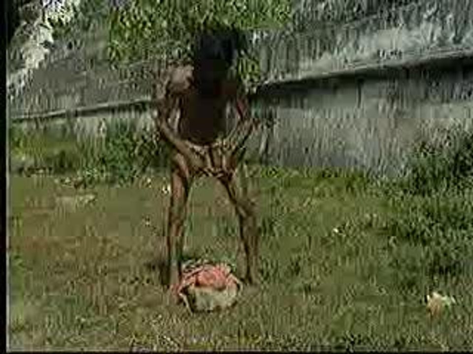 exercise
