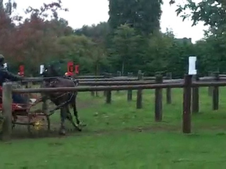 Championnat de Belgique d'attelage (Courrière 2010) (obs 3.)