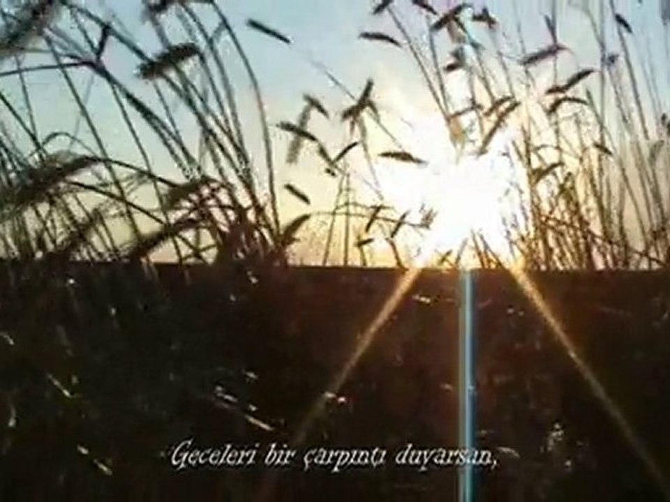 KLIP -  Mervan Tan - Cena Zalime