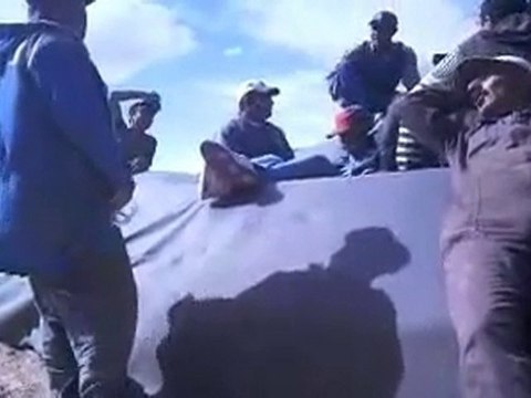 sera iscileri molla sohbeti V2