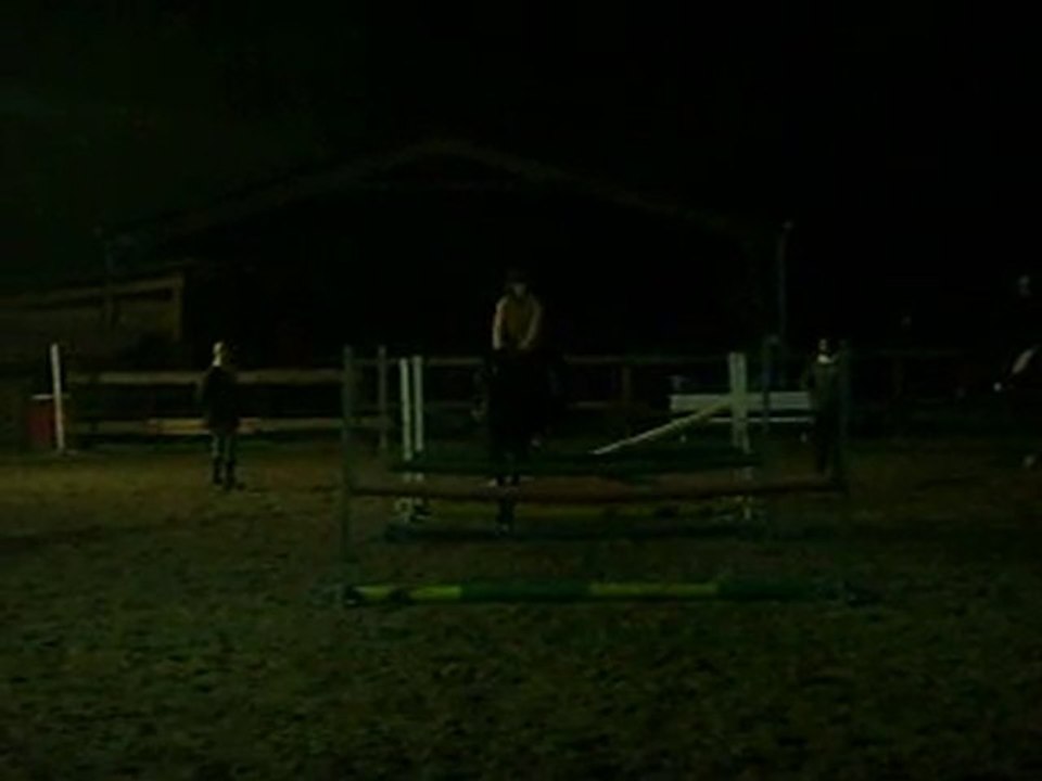 cheval moi et havana