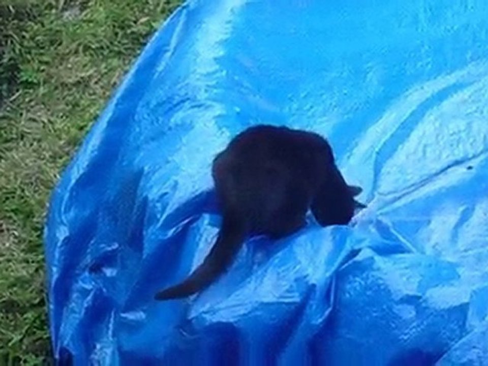 Penelope savoie aout 2010