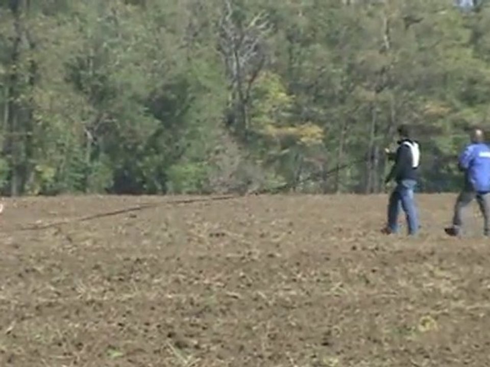 FCI-Quali-2010-SCHRIEFL/Greta-Fährte