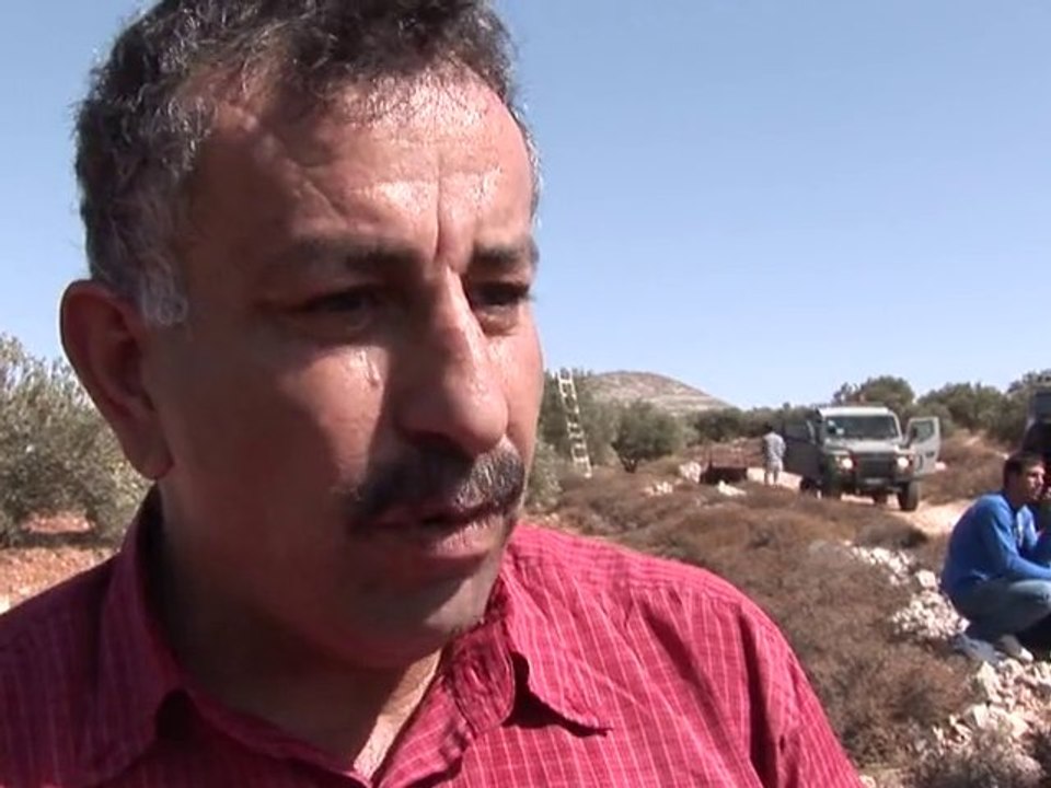 Cueillette des olives dans la violence en Cisjordanie