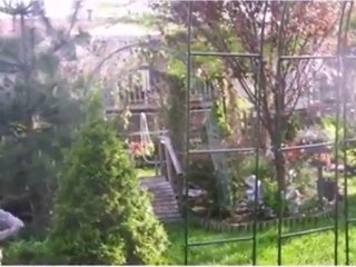 Homes for Sale - 3725 175th Pl - Hammond, IN 46323 - Coldwel