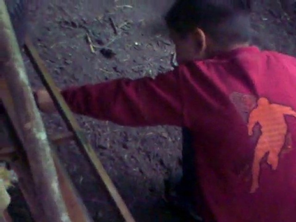 Emircan Çağlar  Köpeklerle Oynuyor  09,10,2010