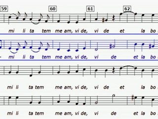 Tribulationes cordis mei (M HAYDN) Alto
