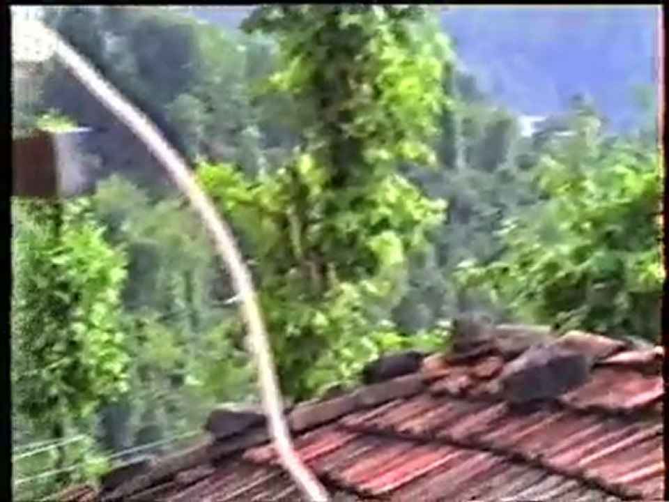 PERŞEMBE KAZANCILIKÖYÜ YUSUF'un BEDFORTU