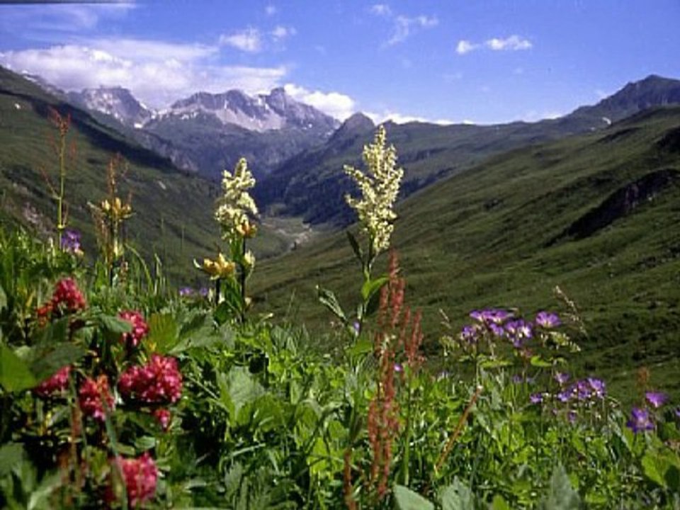 Bergtour auf das Weißeck im Lungau  Salzburg