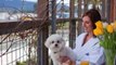 Napa Valley Vacations, Travel Deals, Day Spas, Wine Tasting