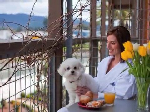 Napa Valley Vacations, Travel Deals, Day Spas, Wine Tasting