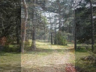 Beautés de Saint Jacques de Compostelle: Puy en Velay/Aubrac