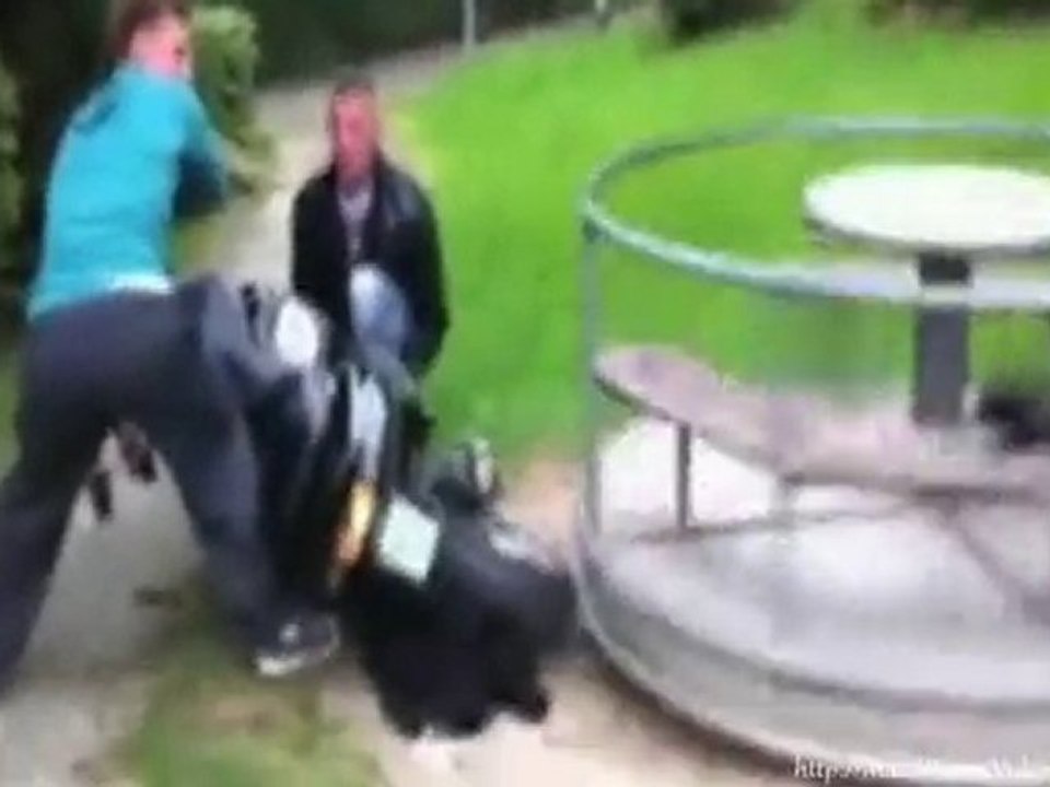 Merry Go Wrong