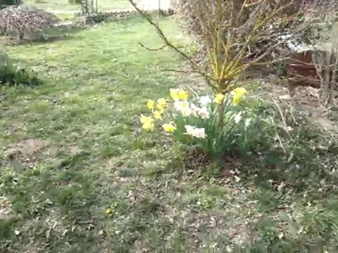 Eishi et Elfy Printemps 2010