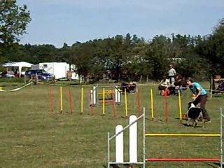 djoker -slalom concours entrainement