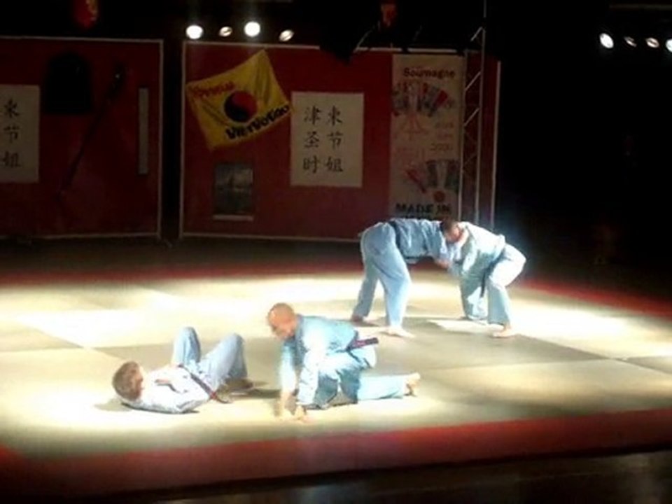 VOVINAM VIET VO DAO | DEMONSTRATION @SOUMAGNE