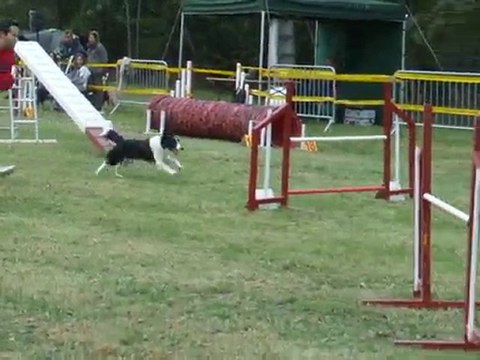 Cayenne GPF Bonrepos 2010