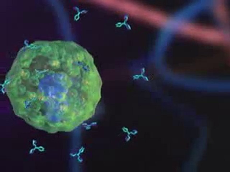Allergies   comprendre les mécanismes