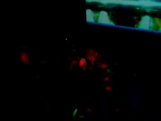 LAS  NOCHES DEL FIN DE SEMANA