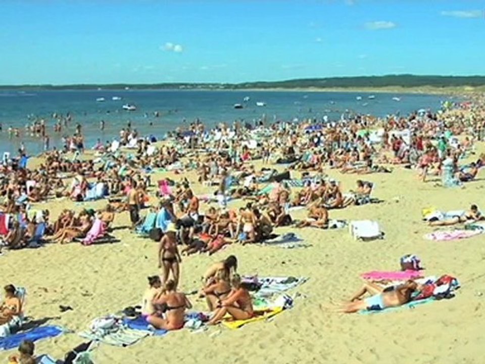 Fastighetsmäklare Hallands Län Halmstad ERA Larssons & ...