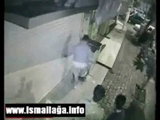 Kediyi Canice Öldürdüler