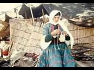 Dengé Jinén Colemergé  Kurko Dîno