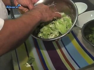 Recette : salade de jeunes pousses