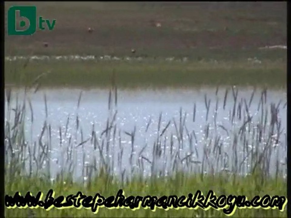 Beştepe Köyü ve Harmancık Köyü